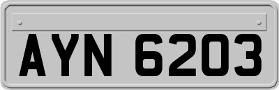 AYN6203