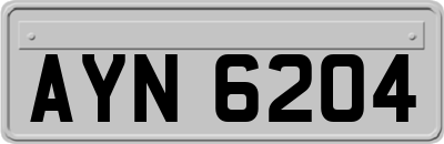 AYN6204