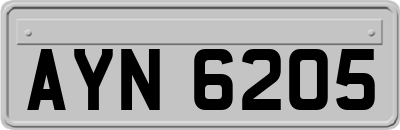 AYN6205