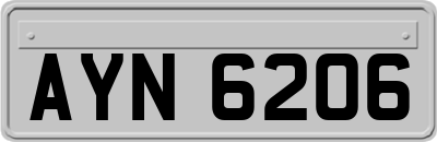 AYN6206