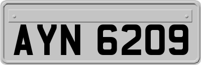 AYN6209