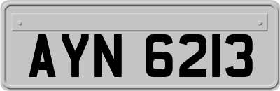 AYN6213