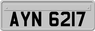 AYN6217