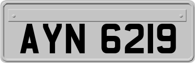 AYN6219