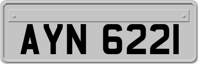 AYN6221
