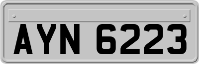 AYN6223