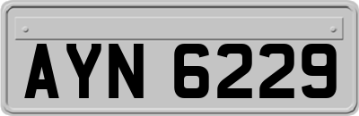 AYN6229