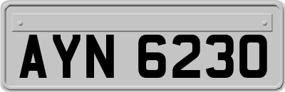 AYN6230