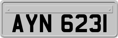 AYN6231