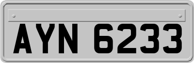 AYN6233