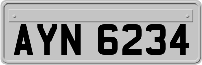AYN6234