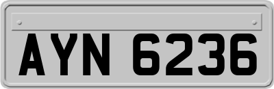 AYN6236