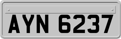 AYN6237