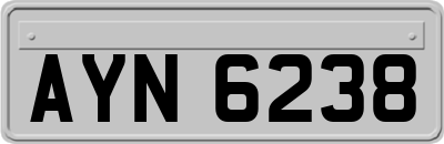 AYN6238