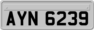 AYN6239