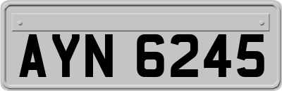 AYN6245