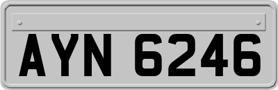 AYN6246
