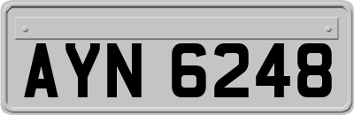 AYN6248