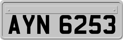AYN6253