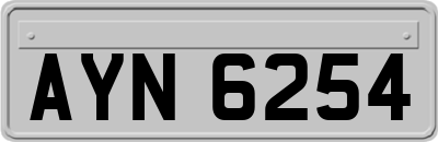 AYN6254