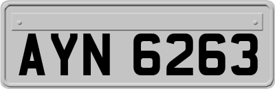AYN6263
