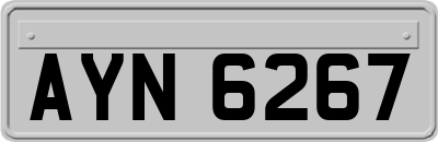 AYN6267