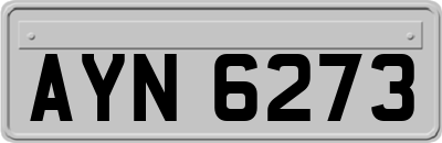 AYN6273