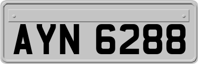 AYN6288