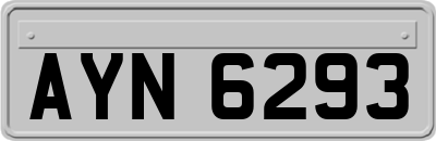 AYN6293