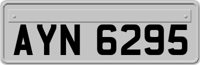 AYN6295