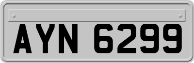 AYN6299