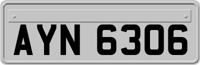 AYN6306