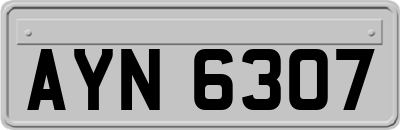 AYN6307