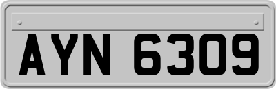 AYN6309