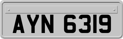 AYN6319