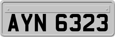 AYN6323