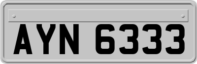 AYN6333