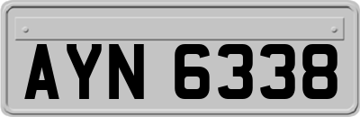 AYN6338