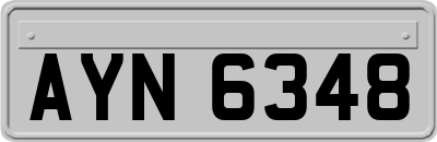 AYN6348