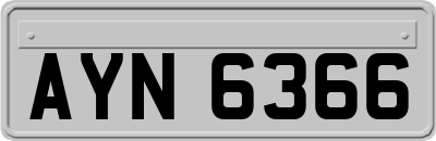 AYN6366