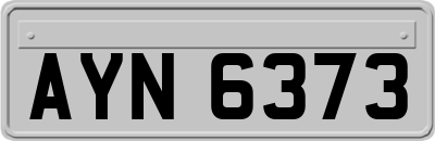 AYN6373