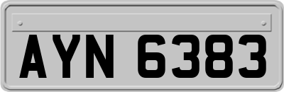 AYN6383
