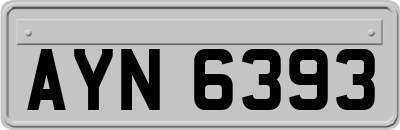 AYN6393