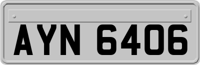AYN6406
