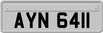 AYN6411