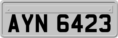 AYN6423