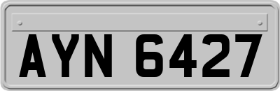 AYN6427