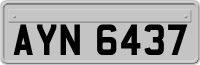 AYN6437