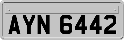 AYN6442
