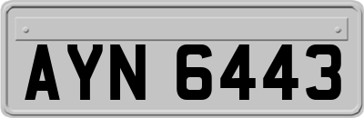 AYN6443